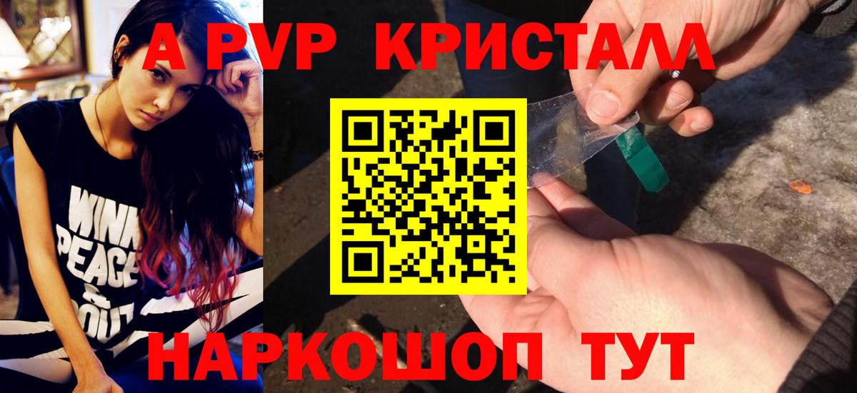 A PVP СК КРИС Новотроицк