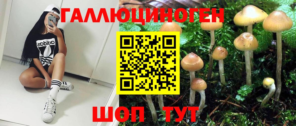 Новотроицк  Галлюциногенные грибы Psilocybine cubensis  Галлюциногенные грибы мухоморы  Вход с VPN 